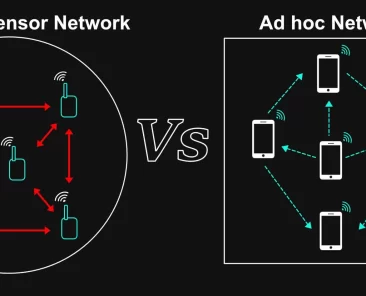 wireless sensor network vs. ad hoc network