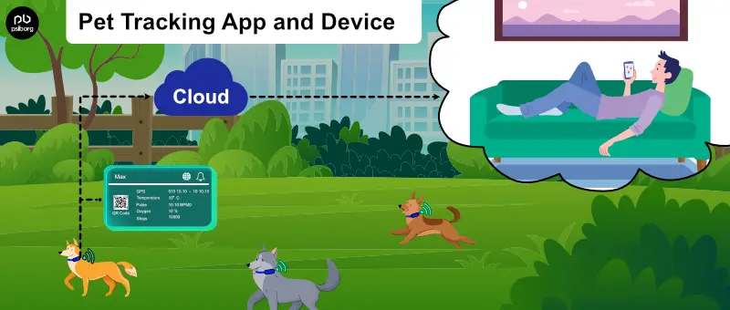 pet tracking app and device