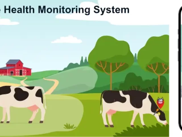 cattle health monitoring system