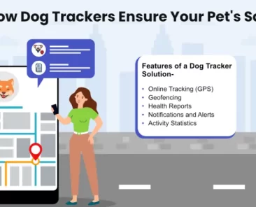 dog tracker