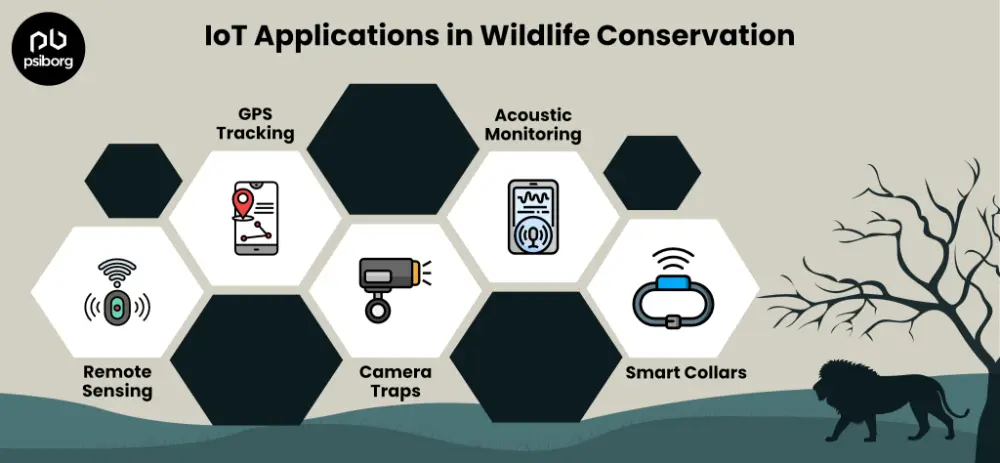 wildlife tracking and monitoring system