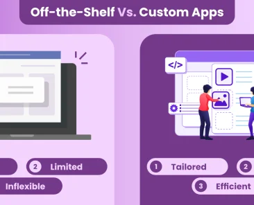 custom web application development