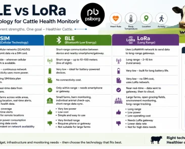 Choose Between SIM Vs BLE VS LoRa for Cattle Monitoring